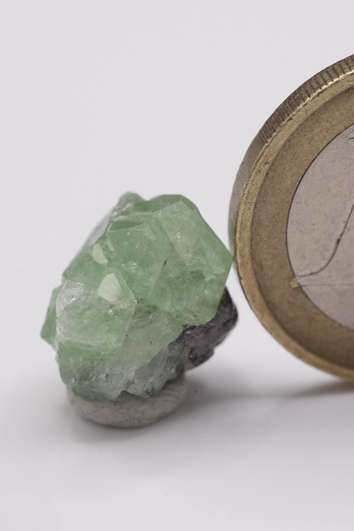 Tsavorite - Mine Mineral Market : A063 Ein Kristall-Agglomerat von lindgrünen Kristallen mit sehr gutem Glanz.