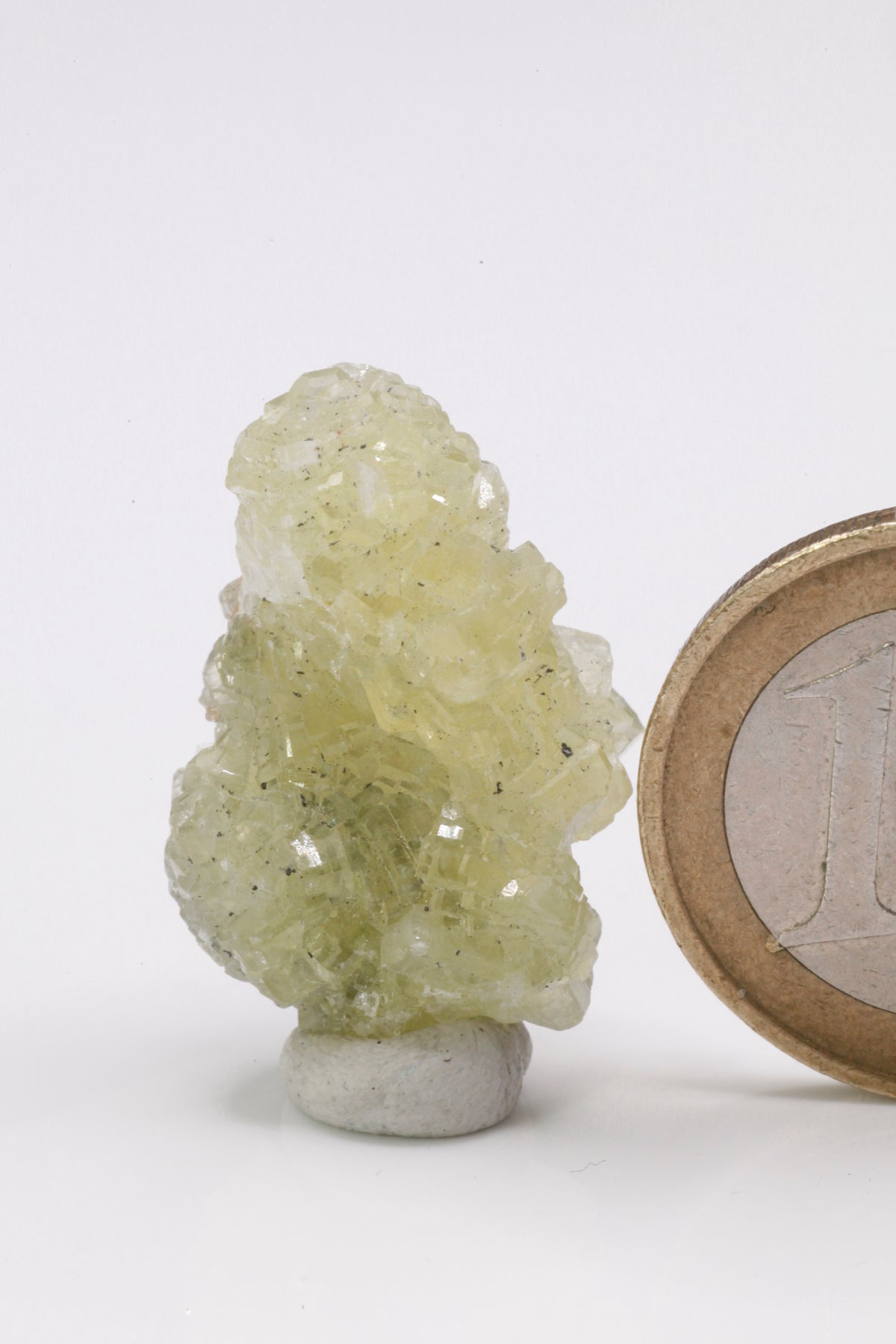 Prehnite - Mine Mineral Market : A119 Schöne gelbe scharfkantige Kristalle auf einer Kleinstufe, auf der Unterseite etwas Graphitmatrix