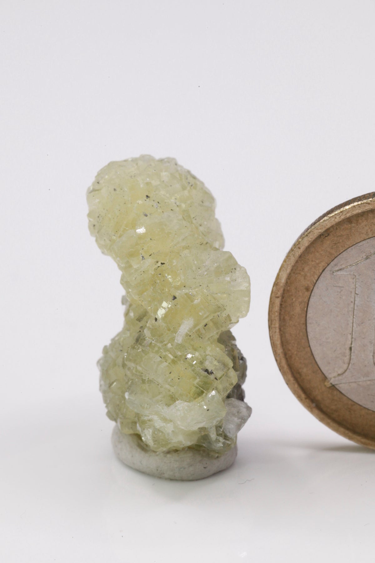 Prehnite - Mine Mineral Market : A119 Schöne gelbe scharfkantige Kristalle auf einer Kleinstufe, auf der Unterseite etwas Graphitmatrix