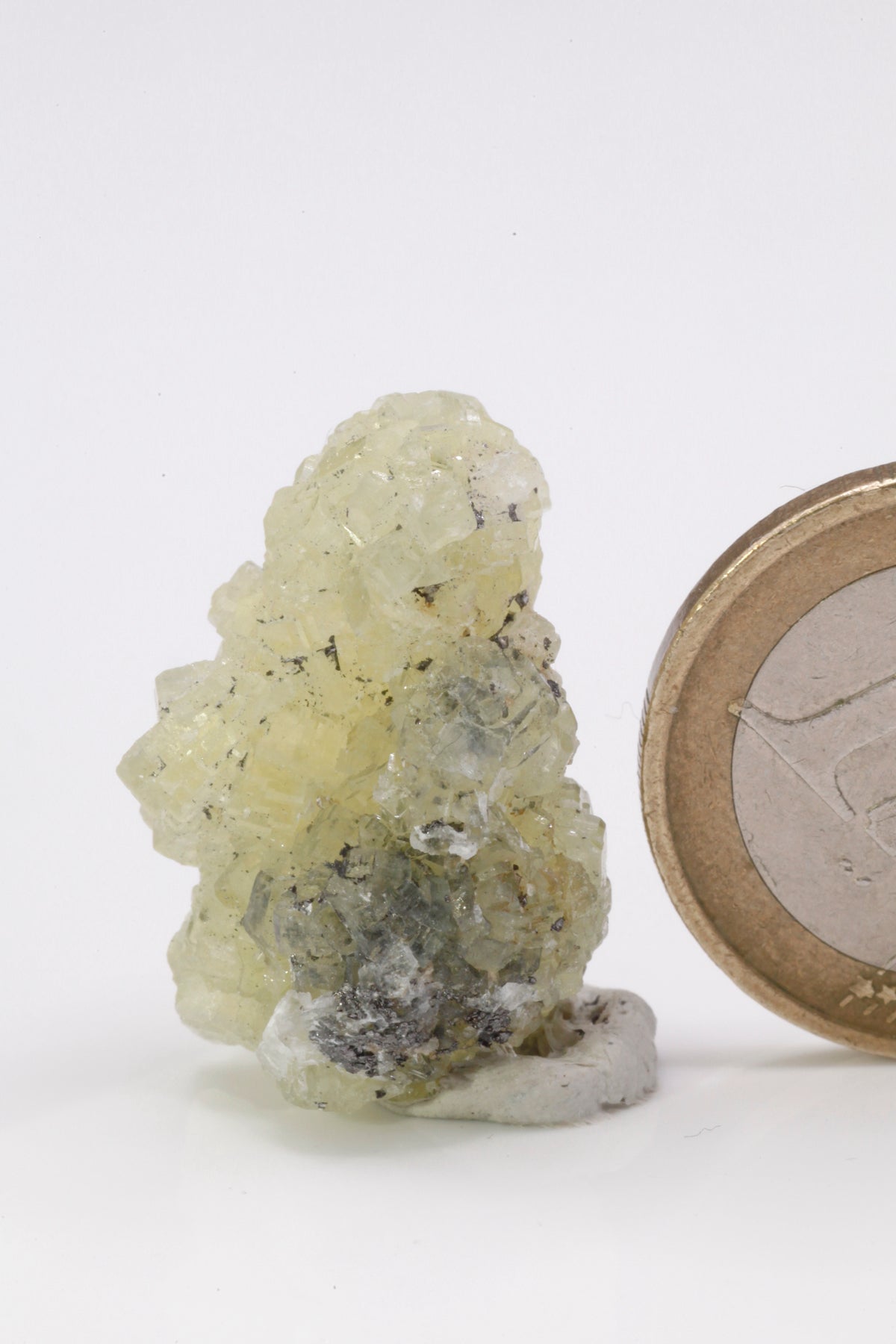 Prehnite - Mine Mineral Market : A119 Schöne gelbe scharfkantige Kristalle auf einer Kleinstufe, auf der Unterseite etwas Graphitmatrix