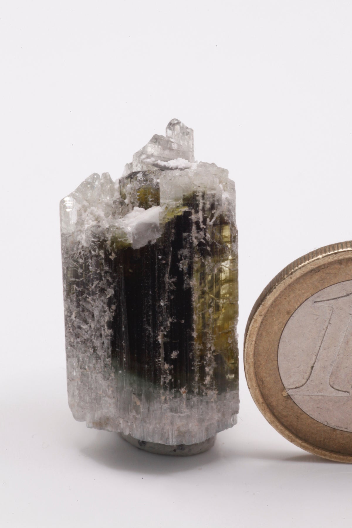 Kamana Tourmaline (Fe-Dravite)  - Mine Mineral Market :    A145 Ein größerer Dravit-Turmalin; besonders interessant, da mehrere kleine Spitzen ausgebildet wurden.