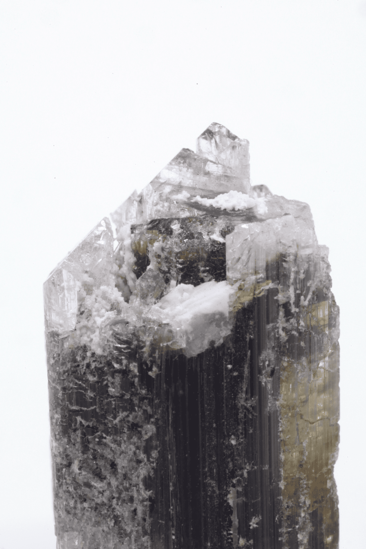 Kamana Tourmaline (Fe-Dravite)  - Mine Mineral Market :    A145 Ein größerer Dravit-Turmalin; besonders interessant, da mehrere kleine Spitzen ausgebildet wurden.