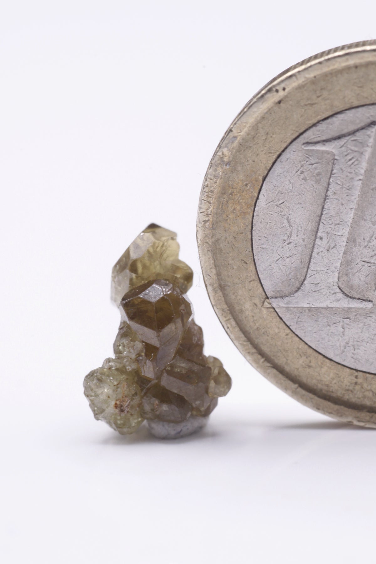 Chrysoberyl  - Mine Mineral Market :    A186 Für Sri Lanka eine Rarität: Ein olivgrünes Kristallagglomerat mit scharfkantigen, glänzenden und verschieden verzwillingten und unverzwillingten Kristallen, allesamt unbeschädigt.