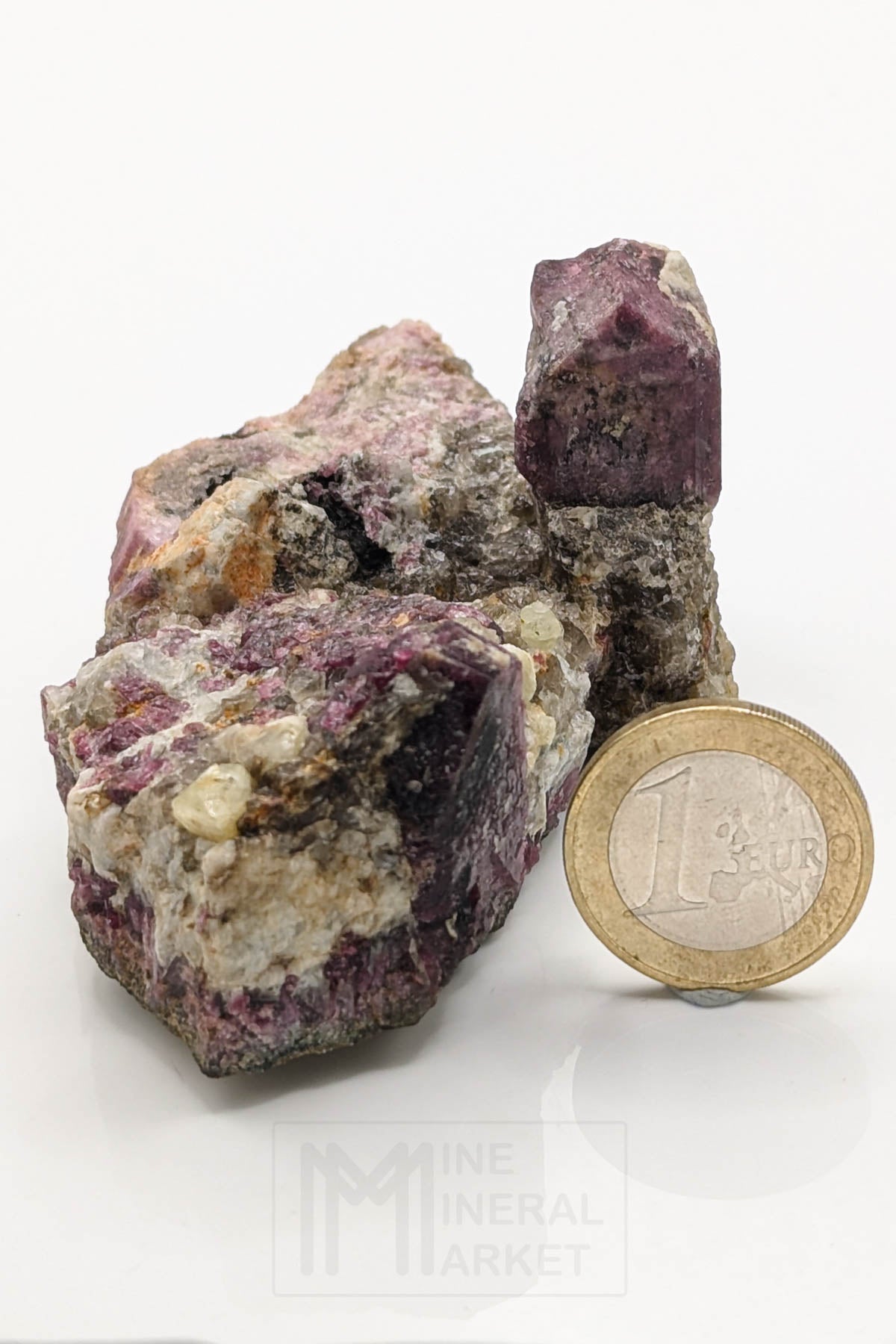 Liddicoatite / Tourmaline