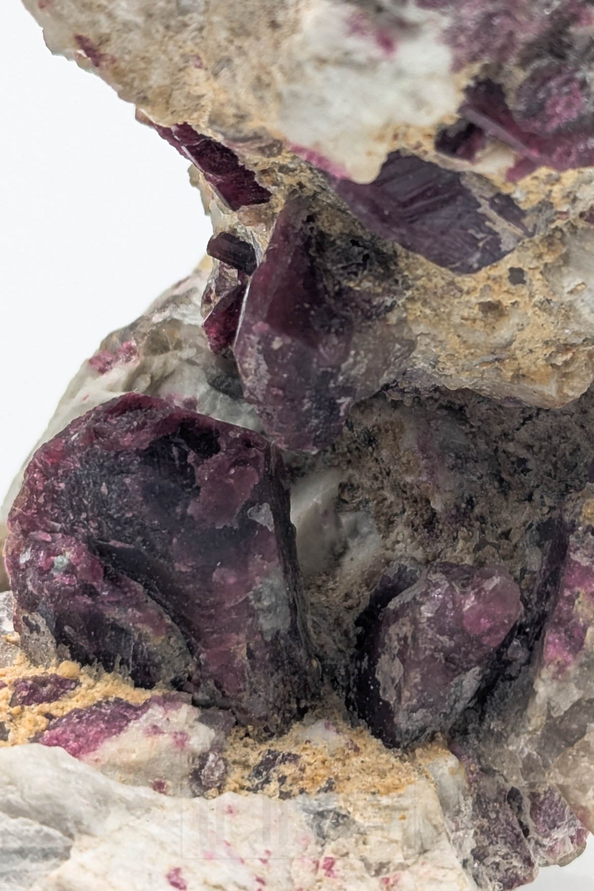 Liddicoatite / Tourmaline