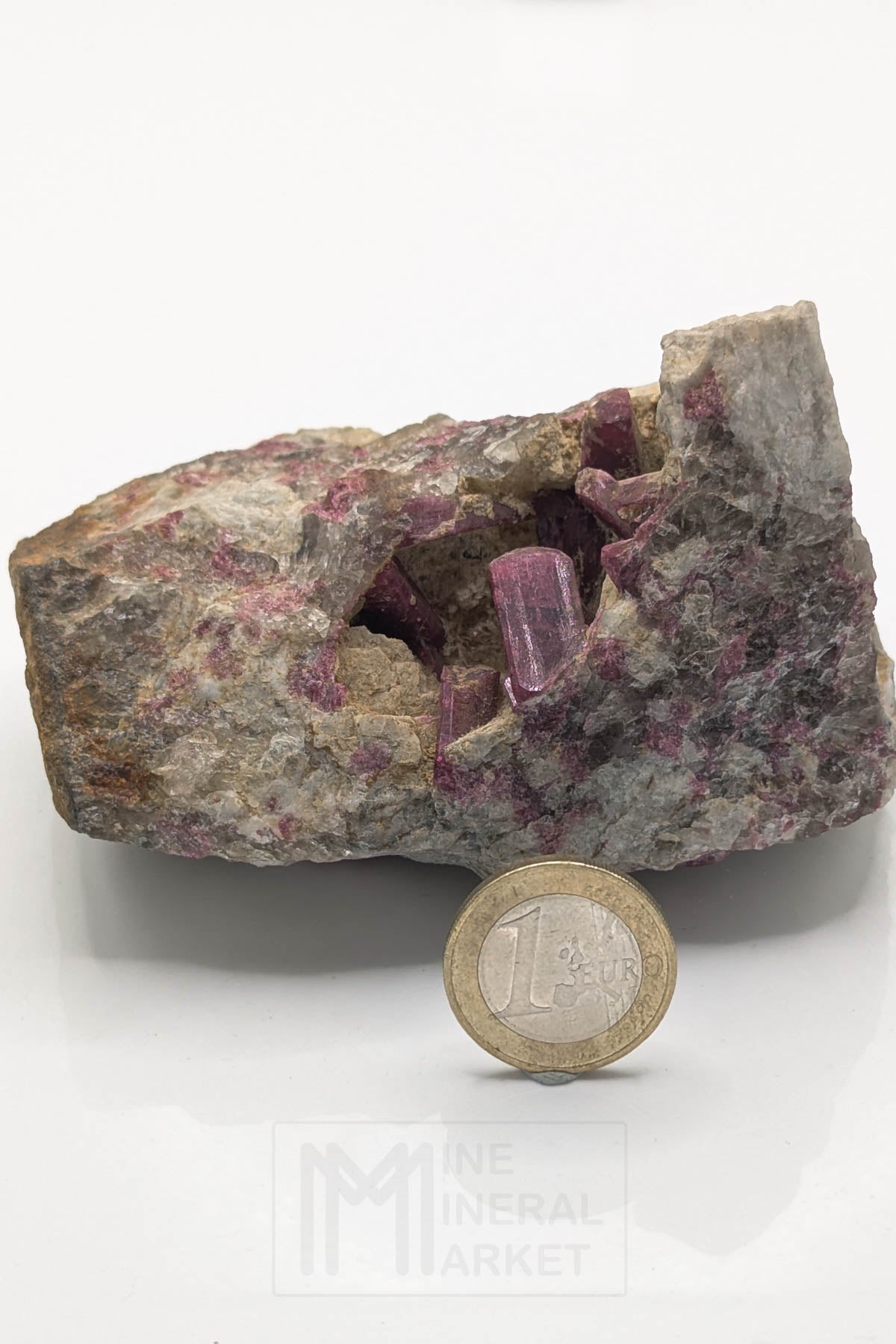 Liddicoatite / Tourmaline