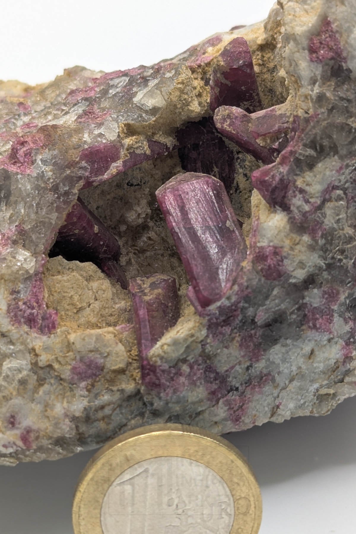 Liddicoatite / Tourmaline