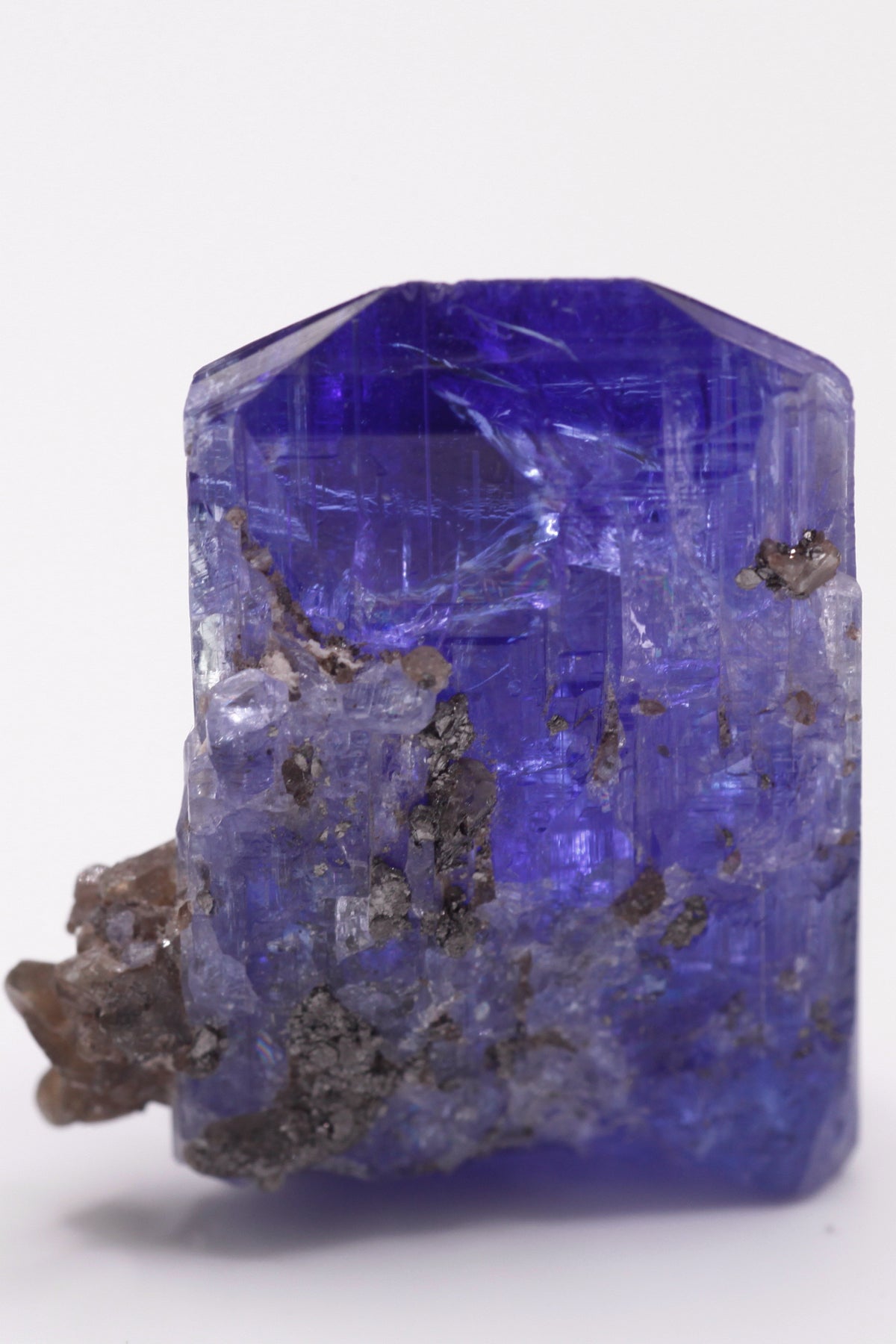 Tanzanite  - Mine Mineral Market :    A028 Ein größerer transparenter und unbeschädigter Kristall von schöner tiefblauer Farbe, mit etwas Matrix (Graphit & Diopsid) und sehr gutem Glanz.  