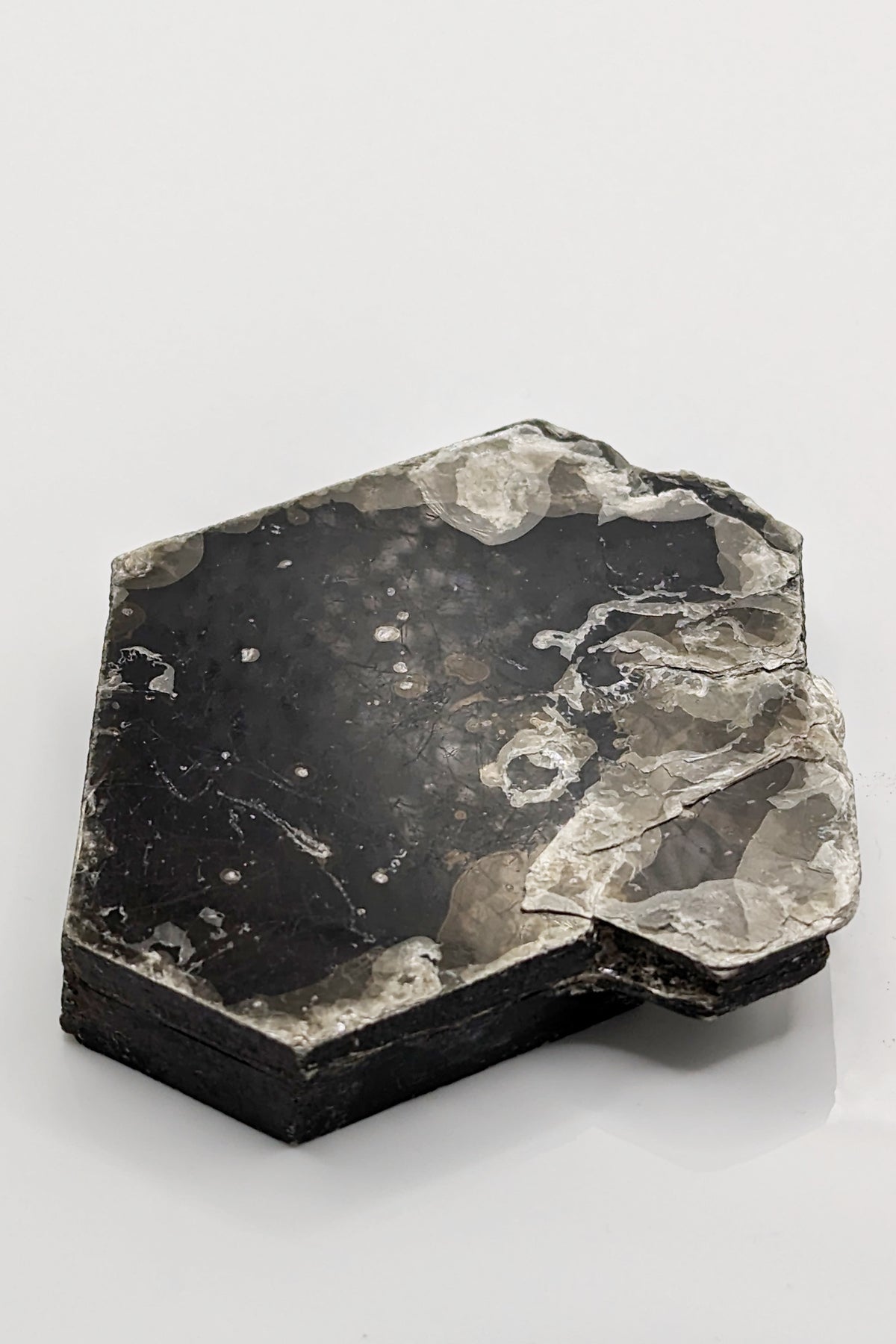 Biotite