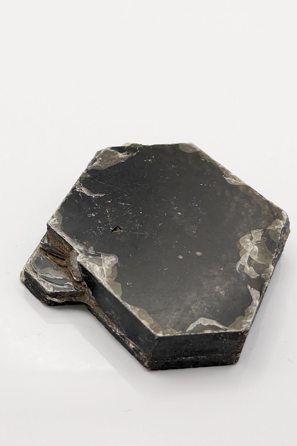 Biotite