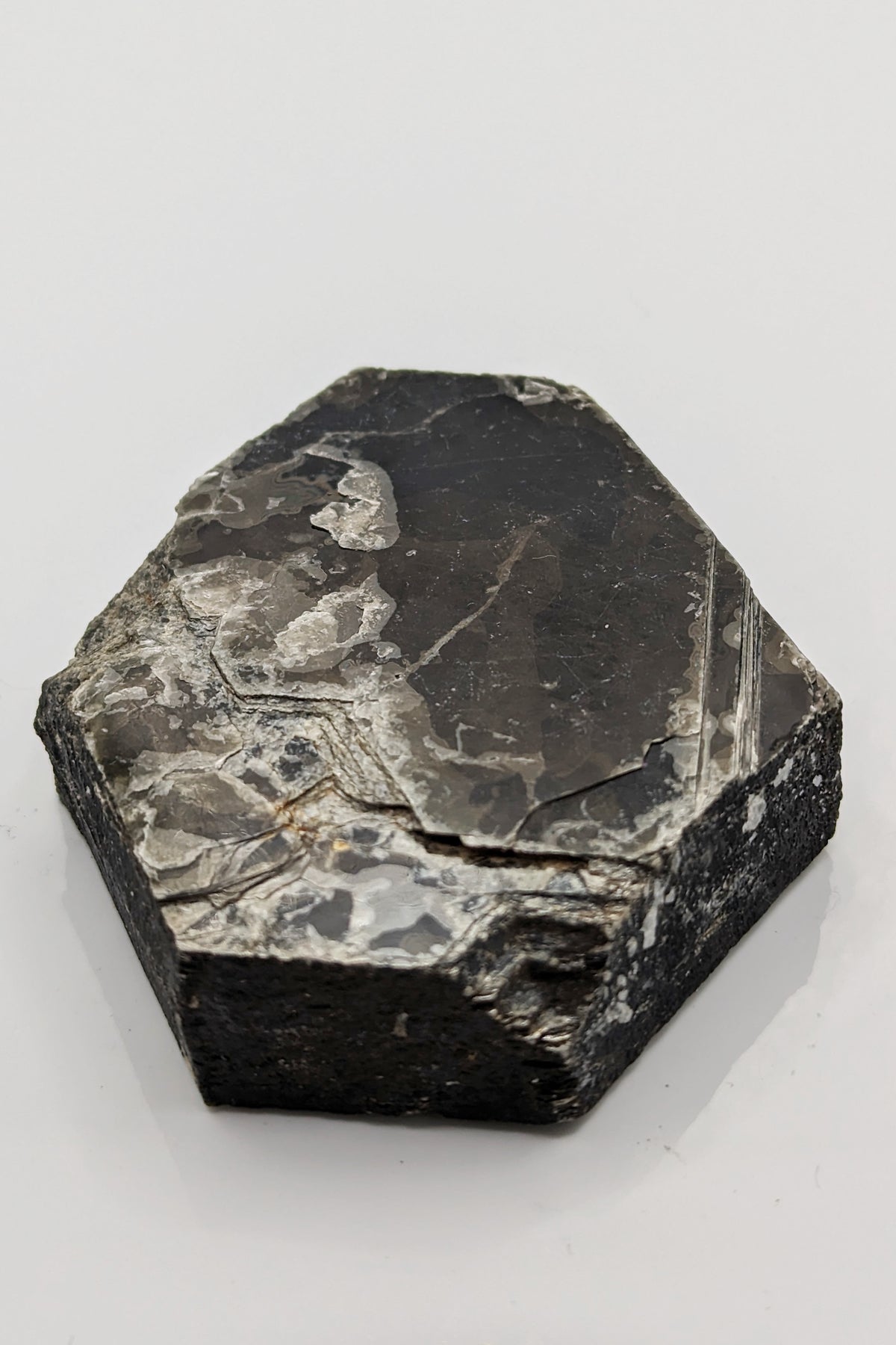 Biotite