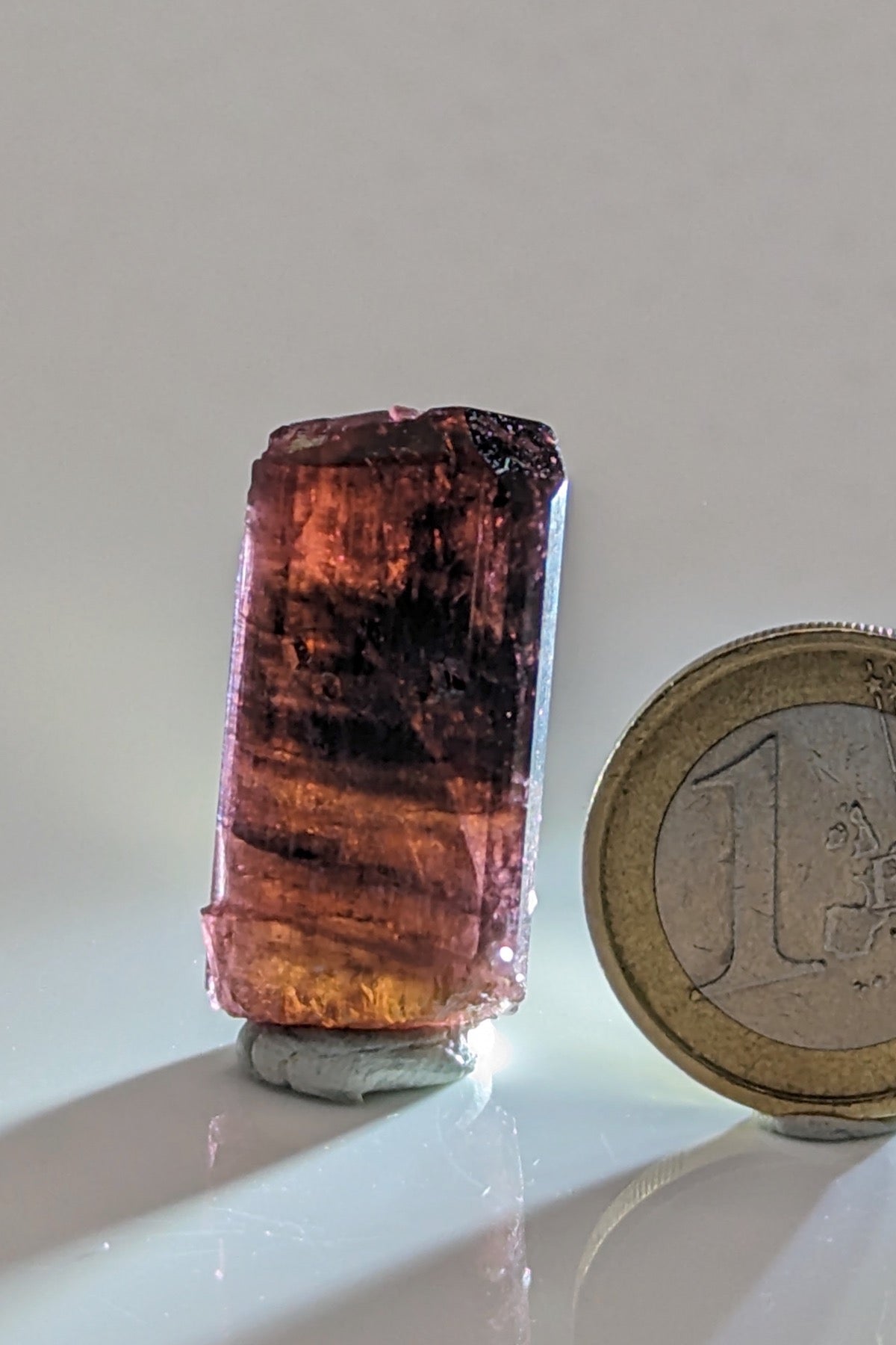 Liddicoatite / Tourmaline