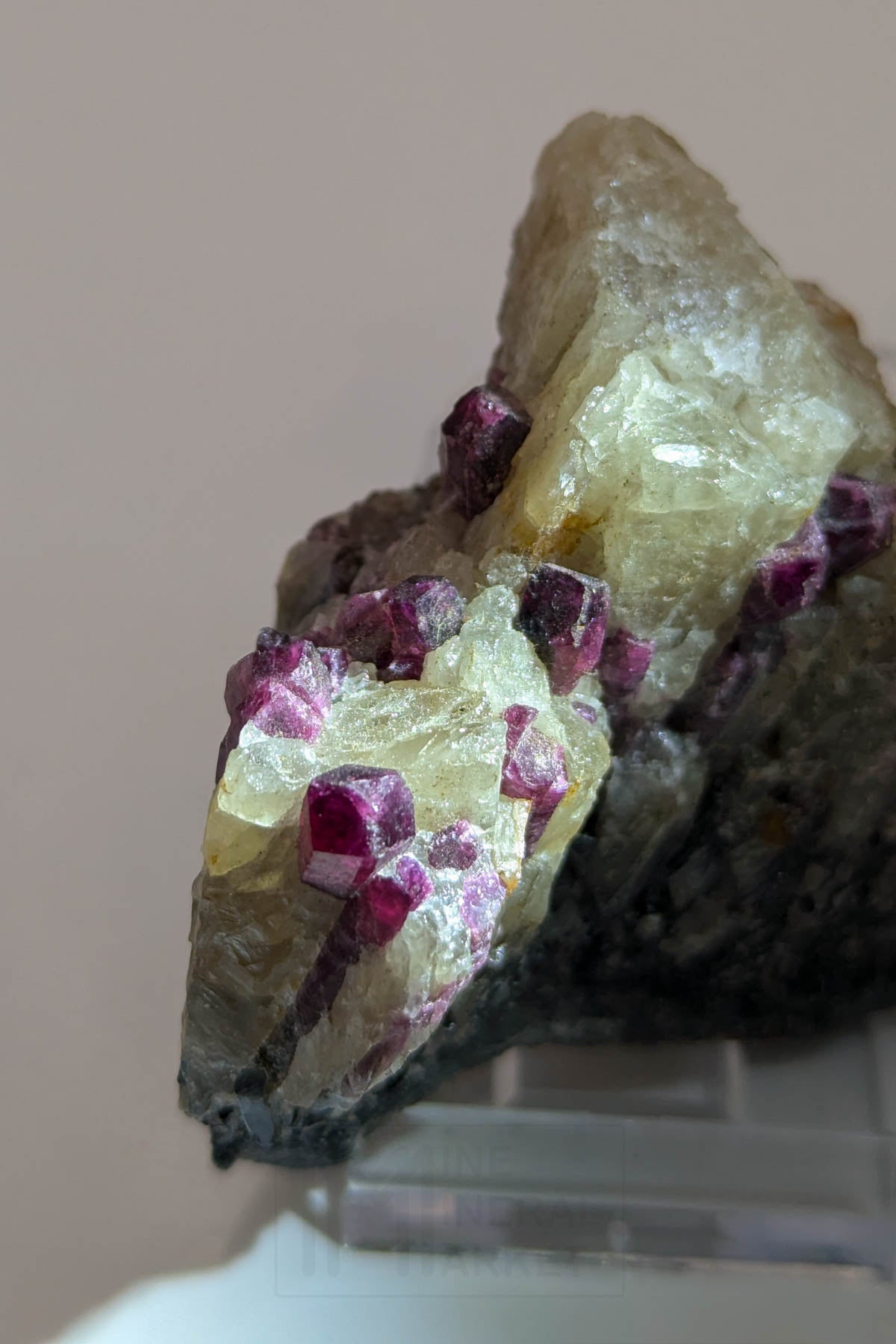 Liddicoatite / Tourmaline