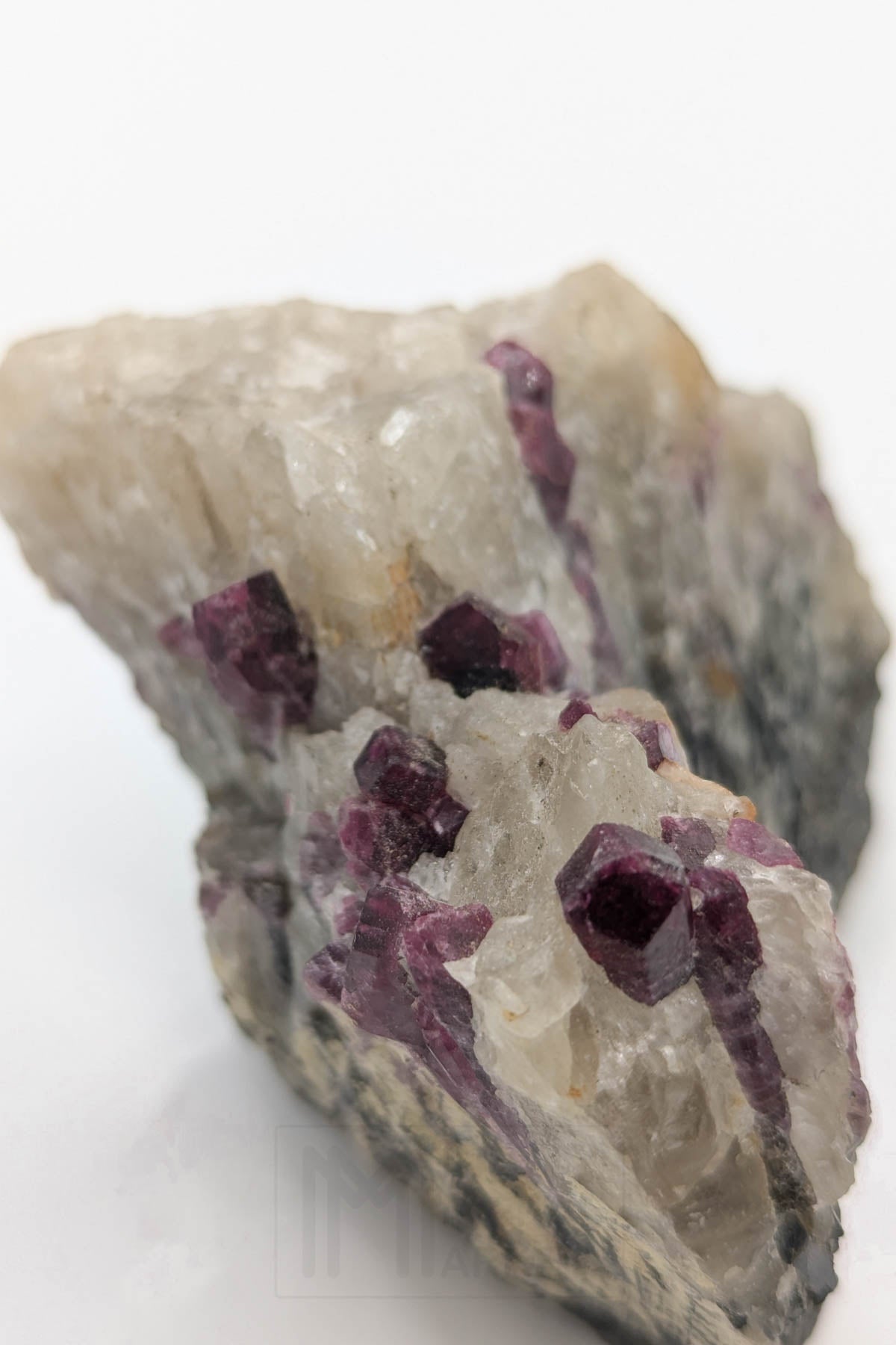 Liddicoatite / Tourmaline