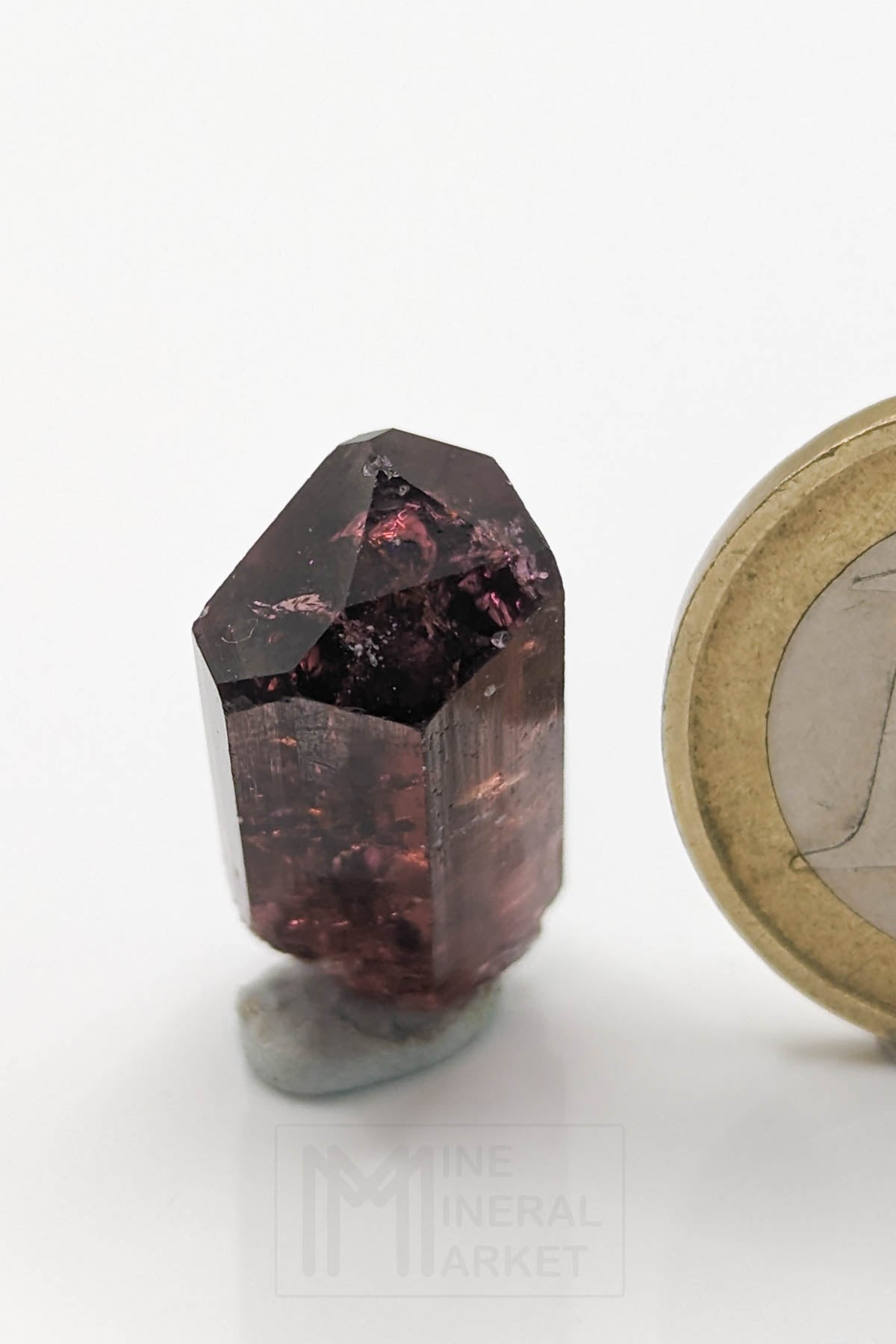 Liddicoatite / Tourmaline