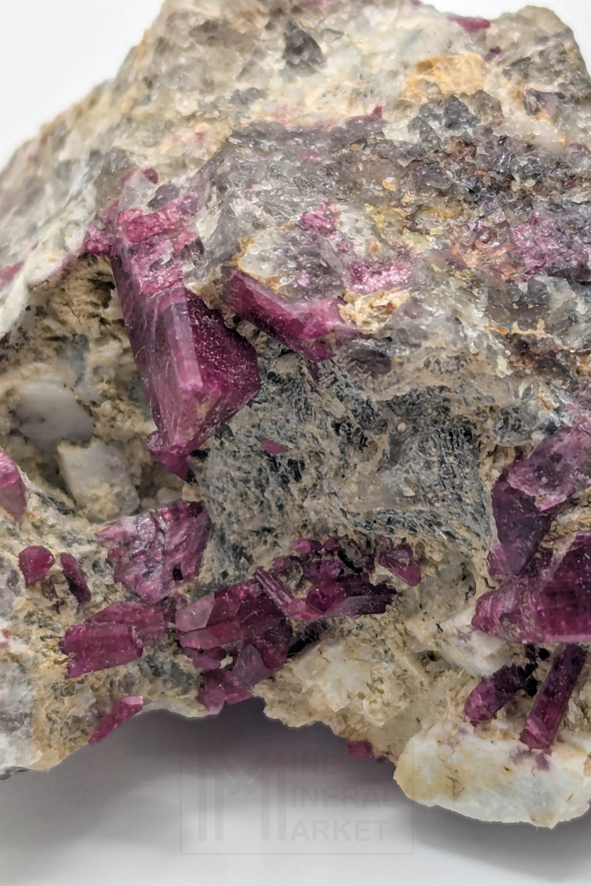 Liddicoatite / Tourmaline