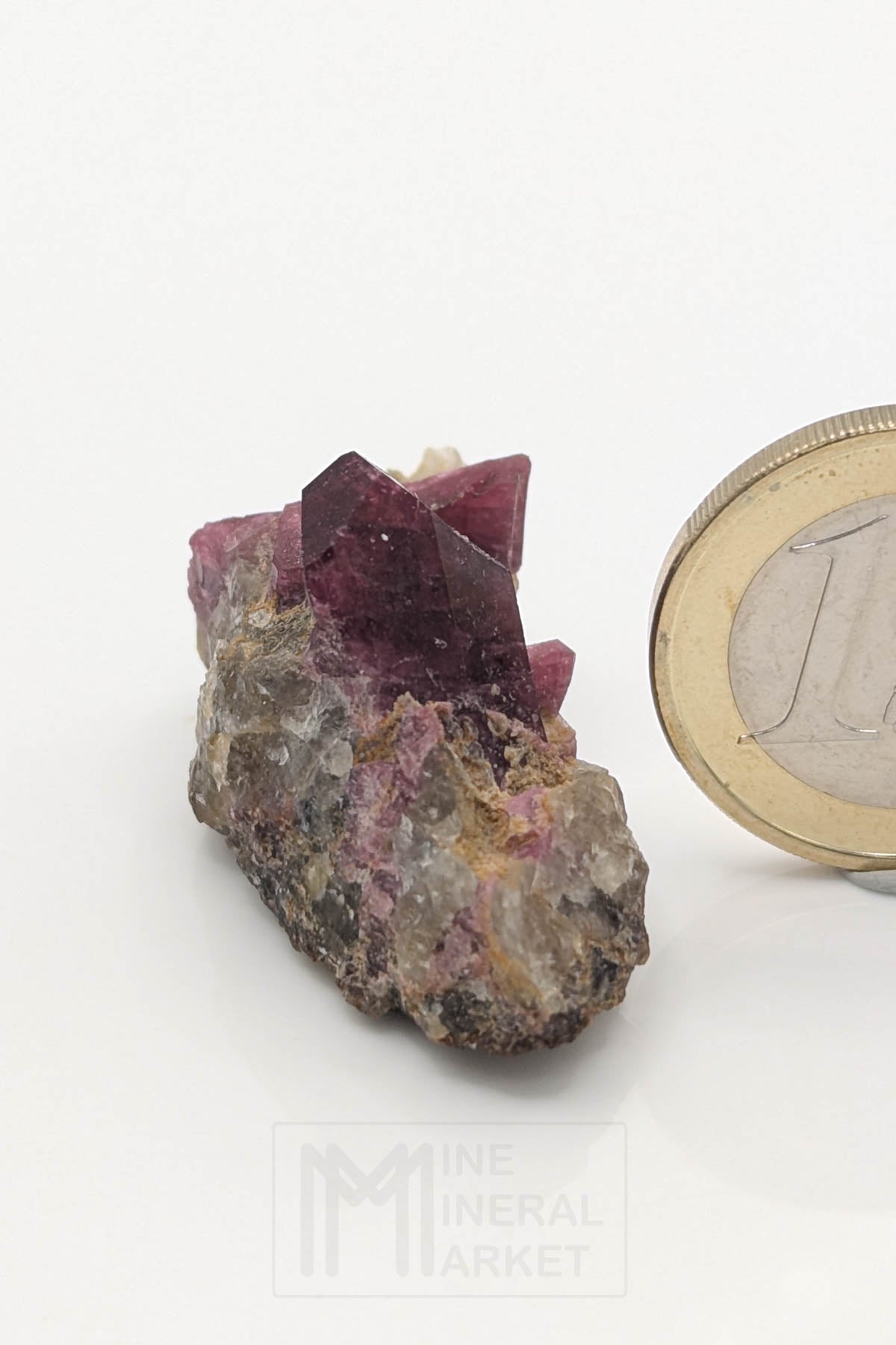 Liddicoatite / Tourmaline