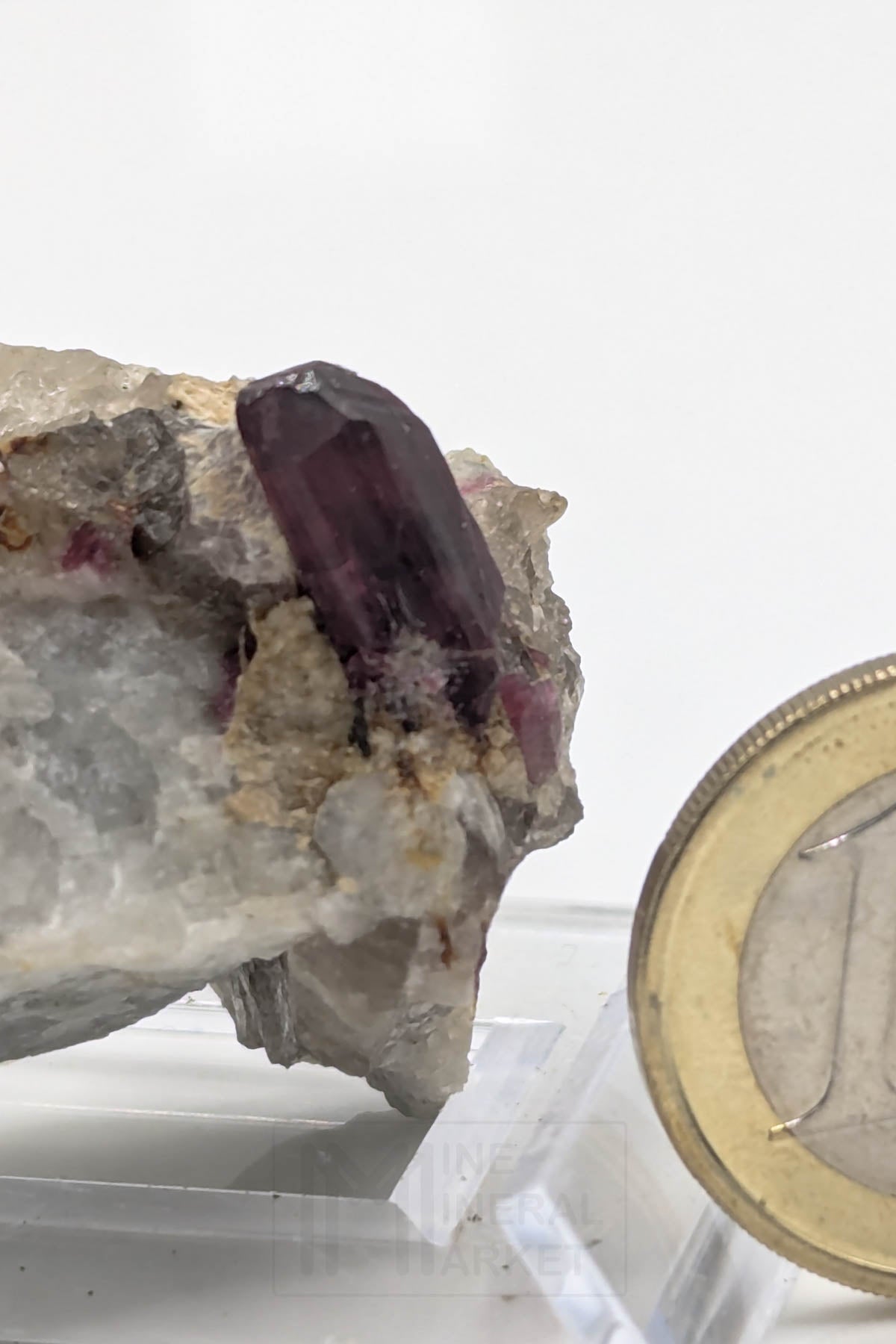 Liddicoatite / Tourmaline