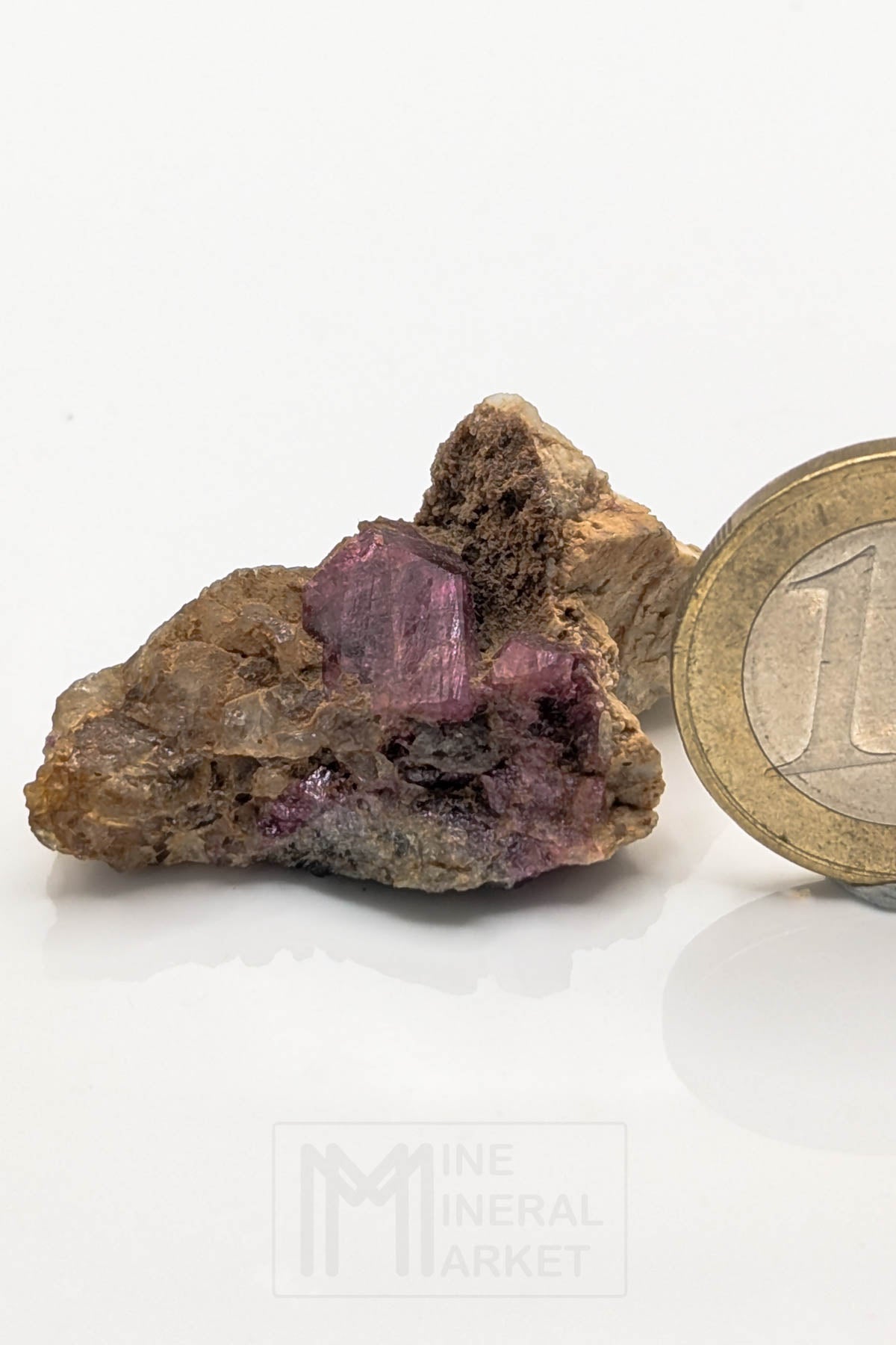 Liddicoatite / Tourmaline