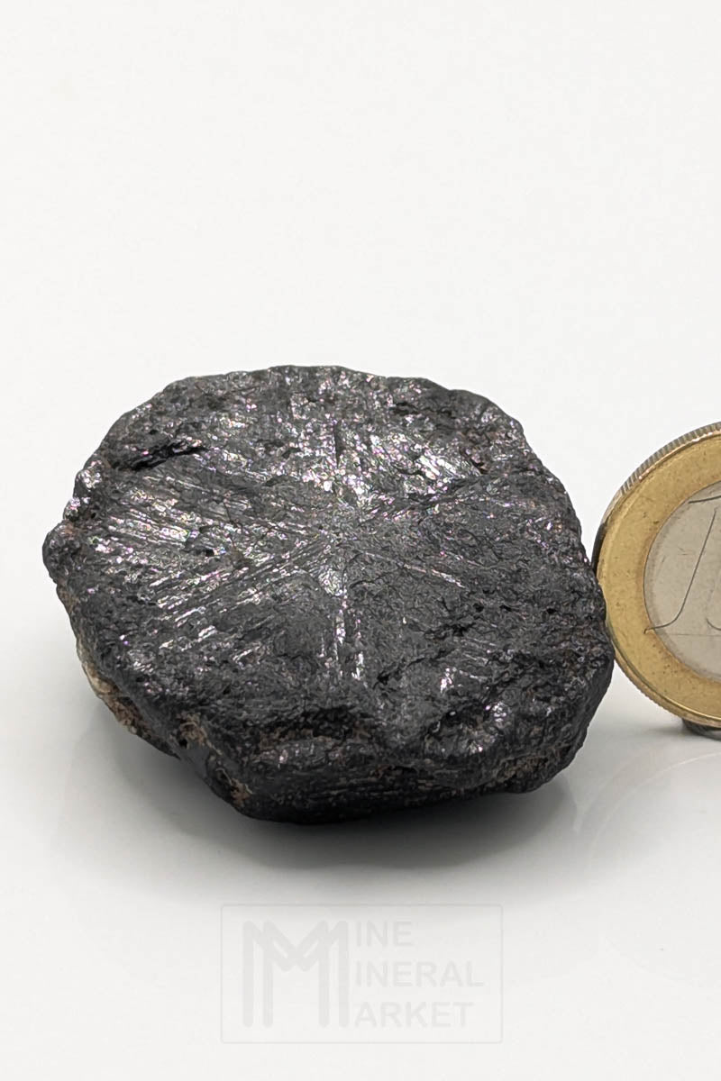 Hibonite