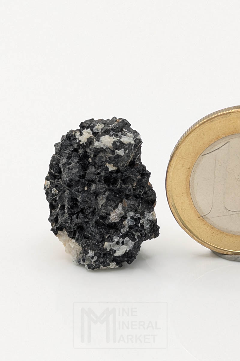 Hibonite