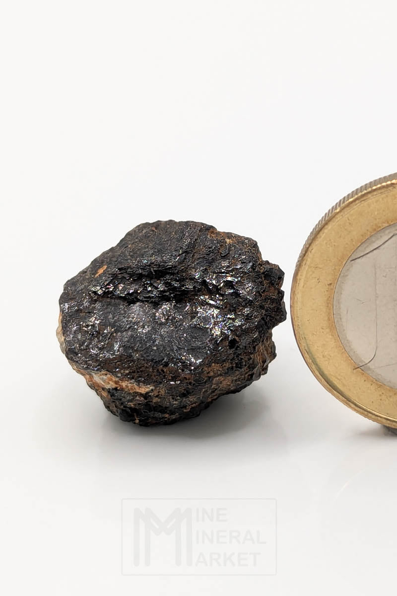 Hibonite