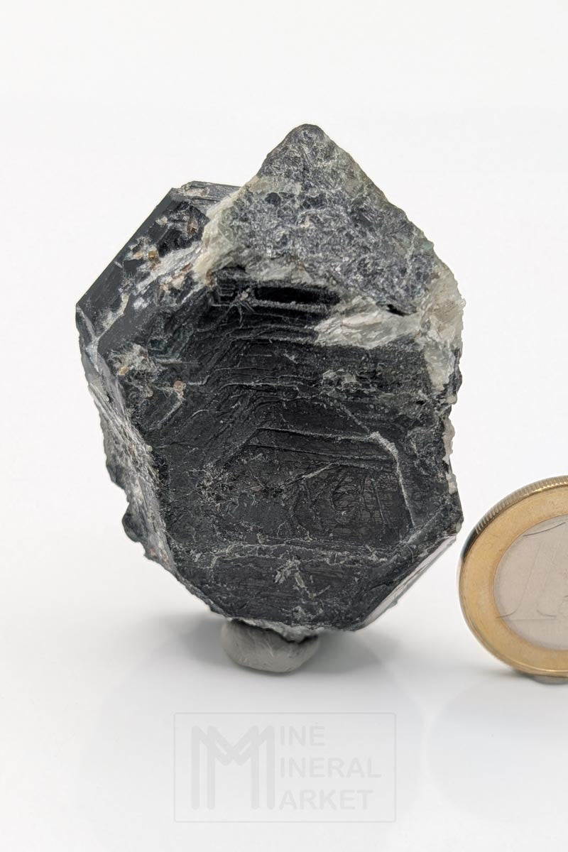 Sapphirine