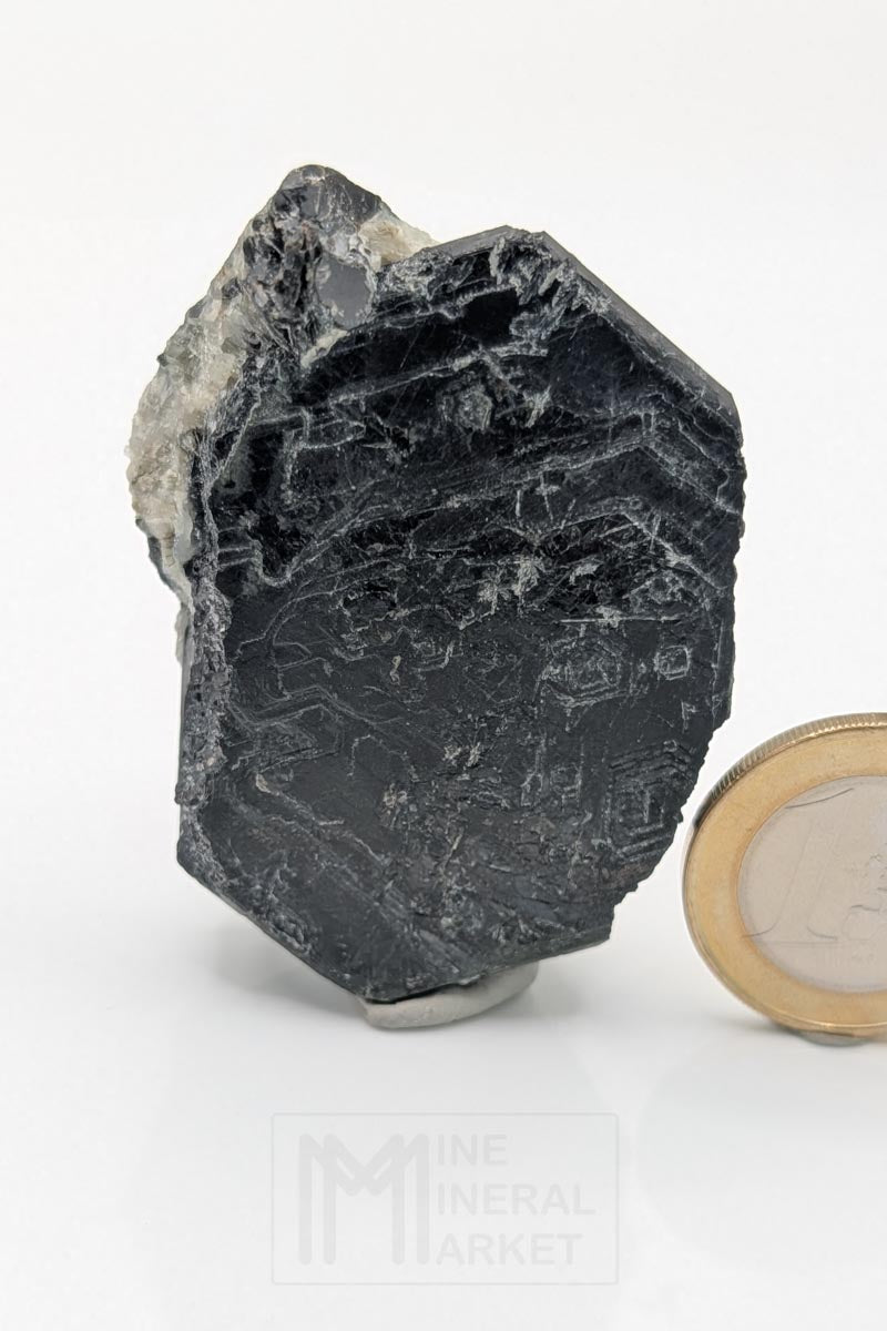 Sapphirine