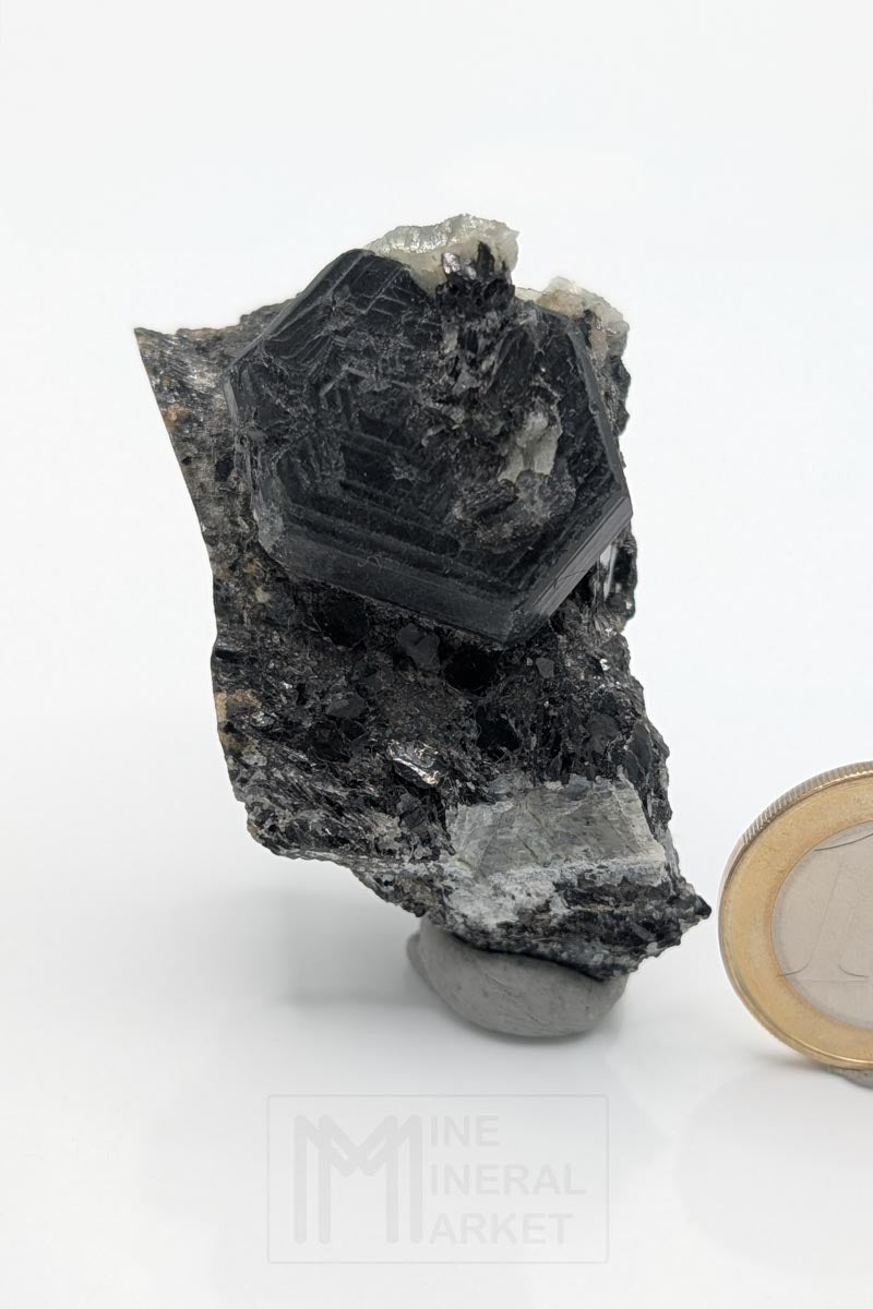 Sapphirine