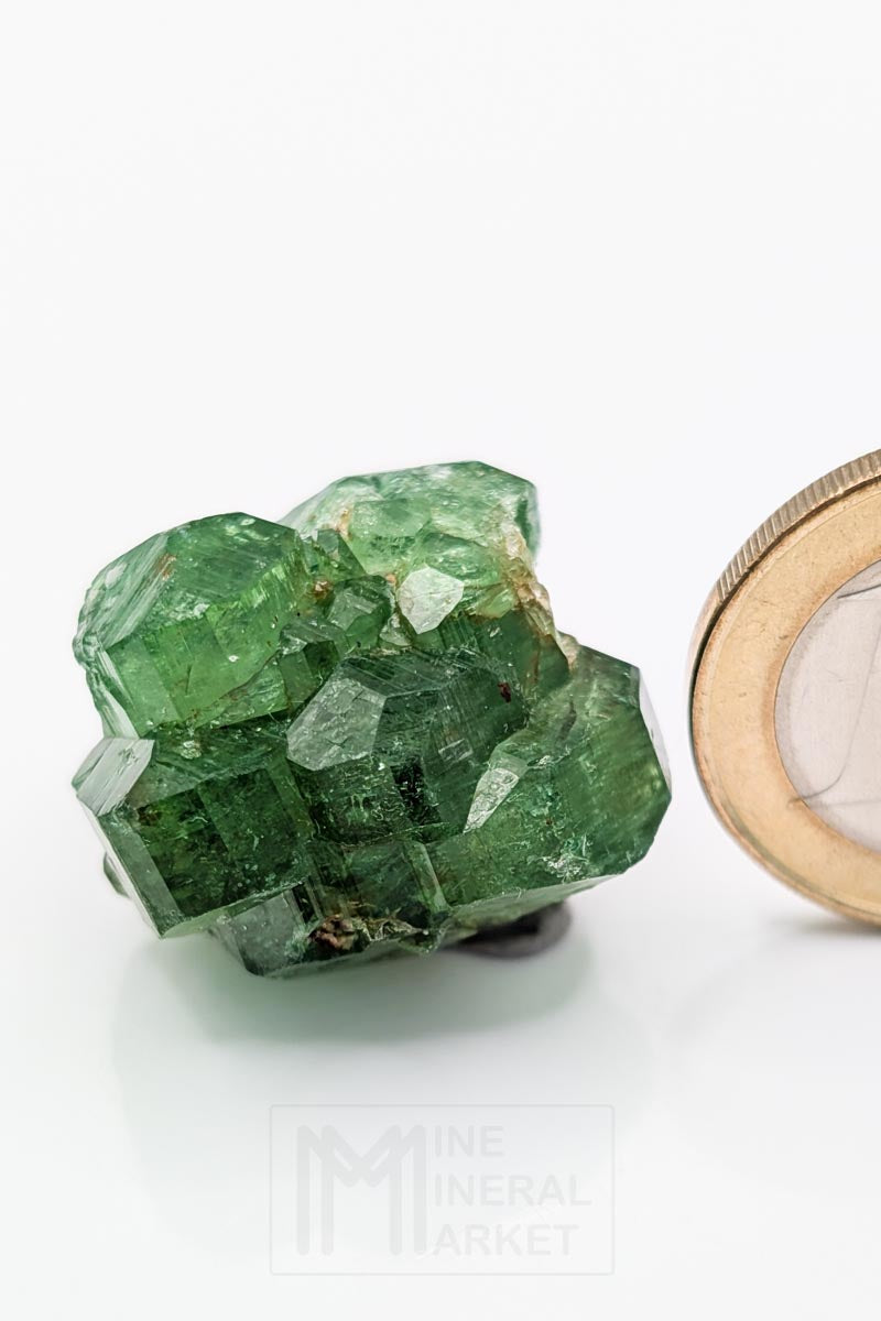 Chrome Dravite